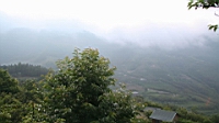 IMG_8963.JPG