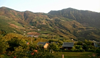 IMG_8968.JPG