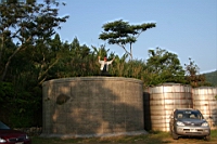 IMG_8970.JPG