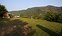 IMG_8973.JPG