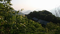 IMG_8974.JPG