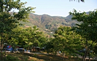 IMG_8976.JPG
