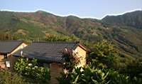 IMG_8977.JPG