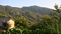 IMG_8978.JPG