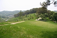 IMG_9035.JPG