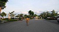 IMG_9175.JPG