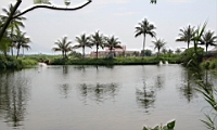 IMG_9213.JPG
