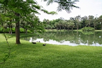 IMG_9234.JPG