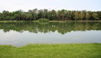 IMG_9235.JPG