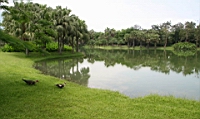 IMG_9236.JPG