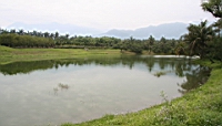 IMG_9238.JPG