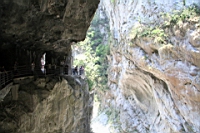 IMG_9282.JPG
