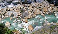 IMG_9298.JPG