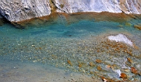 IMG_9390.JPG
