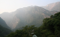 IMG_9444.JPG