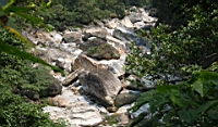 IMG_9452.JPG
