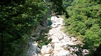 IMG_9453.JPG