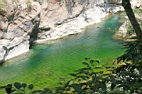 IMG_9456.JPG