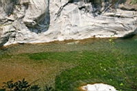 IMG_9457.JPG
