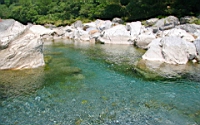 IMG_9468.JPG