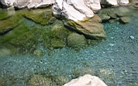 IMG_9475.JPG