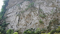 IMG_9492.JPG