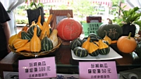 IMG_9512.JPG