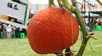 IMG_9546.JPG