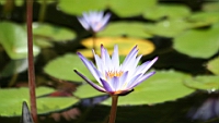 IMG_9565.JPG