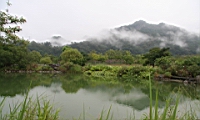 IMG_9743.JPG