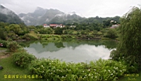 IMG_9750.JPG