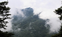IMG_9762.JPG