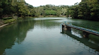 DSC00041.JPG