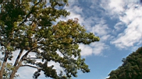 DSC00044.JPG