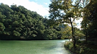 DSC00049.JPG