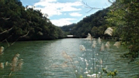 DSC00051.JPG