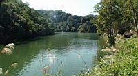 DSC00055.JPG