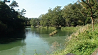 DSC00056.JPG