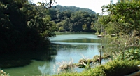 DSC00060.JPG