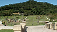 DSC00069.JPG