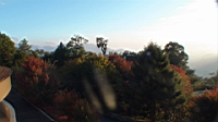 DSC00095.JPG