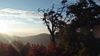 DSC00096.JPG