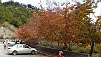 DSC00114.JPG