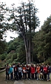 DSC00139.JPG