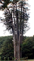 DSC00141.JPG