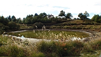 DSC00143.JPG