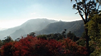 DSC00150.JPG
