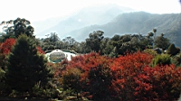 DSC00151.JPG