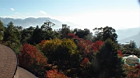 DSC00152.JPG