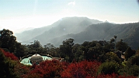 DSC00154.JPG